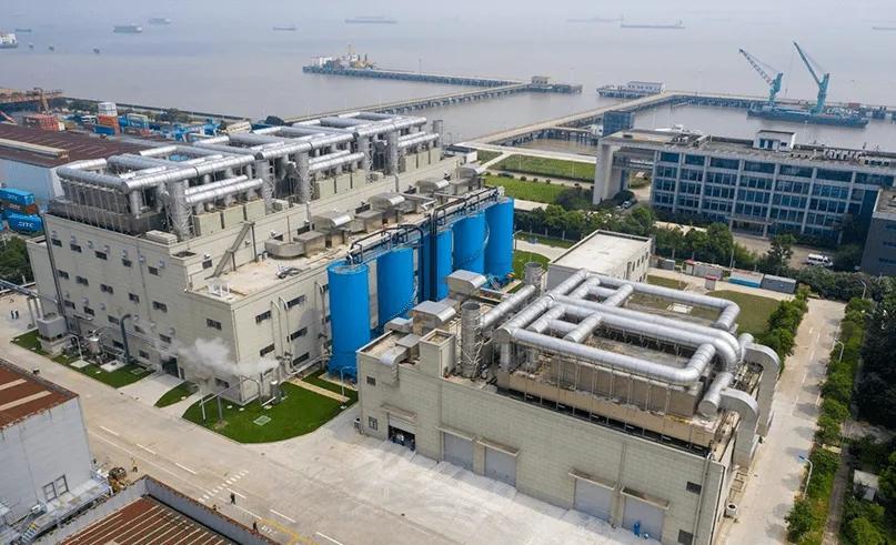 1655255281207831.jpg 1.webp.jpg